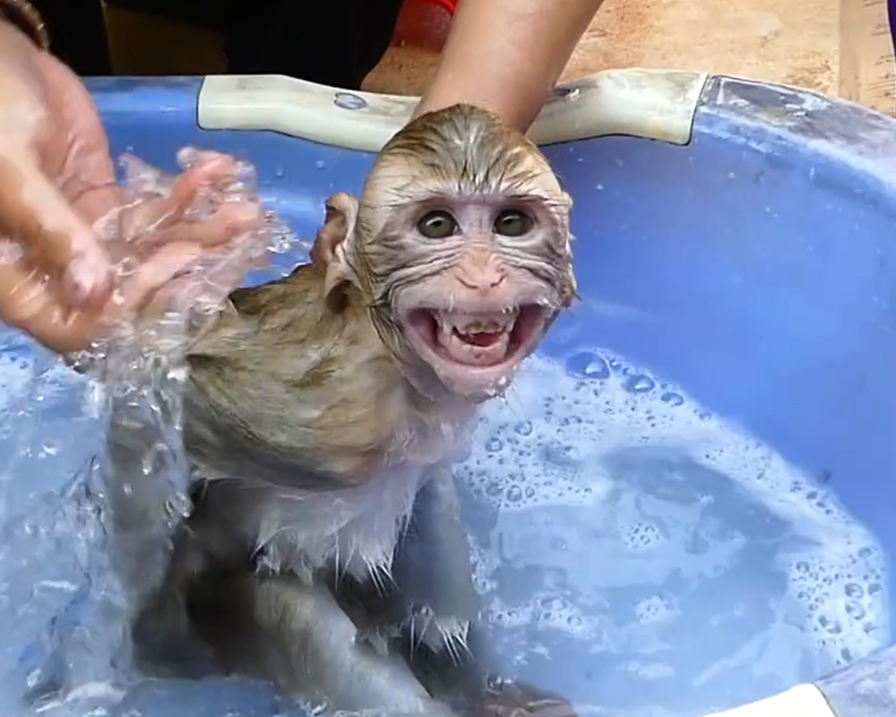 Jerry’s Splashy Bath Time